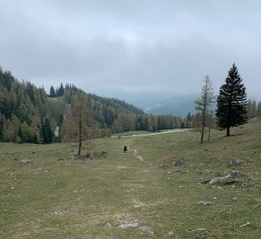 Karlgraben mountain cauldron at the descent to the car park