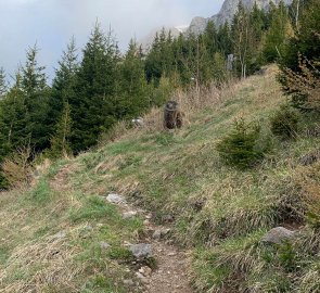 The trail to the mountains