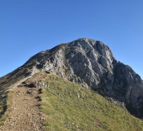 The last metres to the top of Eisenerzer Reichenstein