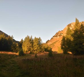 The initial part of the climb led partly between trees