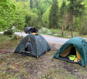 Forest car park by the stream