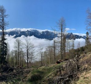 Views of the Totes Gebirge opened up above the inversion