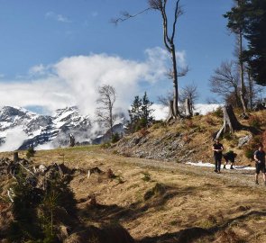 Wide path to the mountain chalet