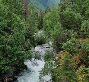 The view from the lookout at the waterfall.