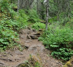 The path to the river on the rocks.