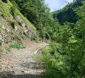 The path over the Rybnica riverbed