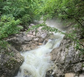 Rapids on the Velika Savica River