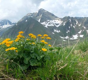 Mount Melleck during the descent