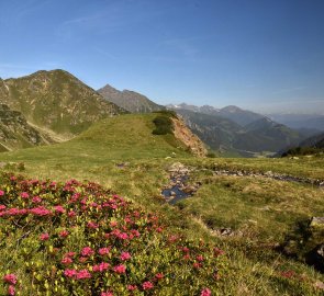 Descent from the saddle to the valley