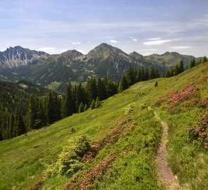 Trail to the Bärensuhlsattel saddle