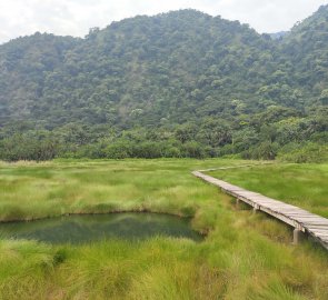 Footbridge over the swamp to the male spring Semliki