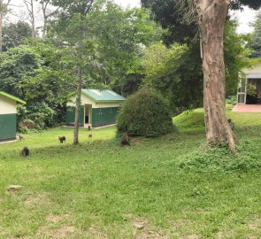 Park entrance, toilet, babuni and souvenirs :)