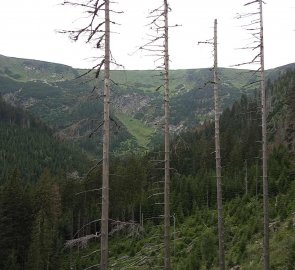 View of the Krkonoše ridge during the climb in Giant Mine