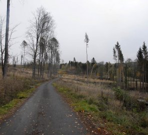 Cesta kolem přehrady Slezská Harta