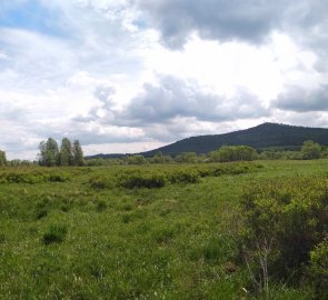 Louky kolem Teplé Vltavy, v pozadí hora Stožec