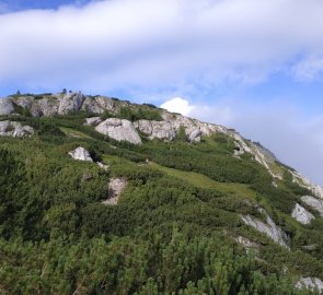 Závěrečná část výstupu vede částečně mezi kosodřevinou