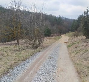 Široká cesta od auta k řece Jihlavě