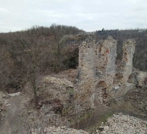 Zřícenina hradu Templštejn