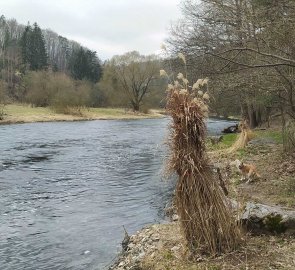 Stezka kolem řeky Jihlavy