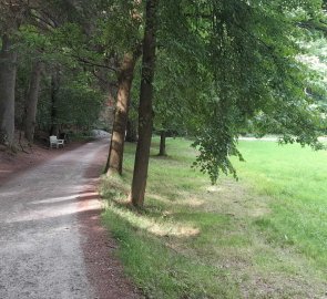 The road from the restaurant