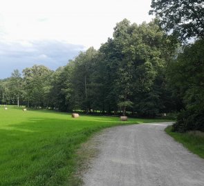 The end of the nature trail leads again along the wide path to the car park