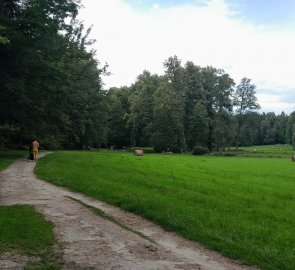 Wide path through the valley