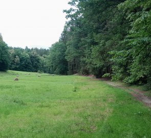 Meadows on the nature trail