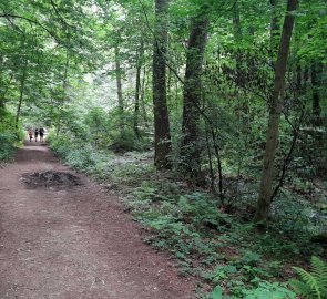 Path along the river Stropnice