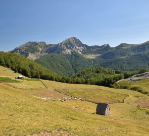 Pastures and pastures in the mountains