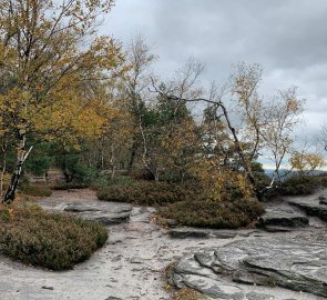 Trail along the edge of the rock blocks