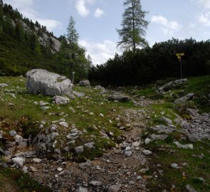 Pramen Fiedlbrunn po výstupu na náhorní plošinu