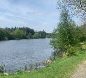 The path around the New Pond