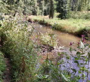 The path around the river