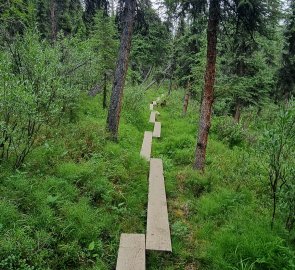 Footbridges on the way to the lakes.