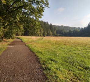 Cesta údolím k Věžickému rybníku