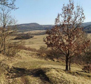 The road from the mountain, with the Doupov Mountains in the background