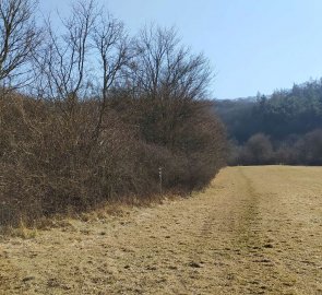 Field path to Mount Úhošt'