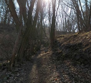 Trail to Mount Úhošt'