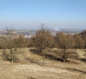 Landscape on Mount Úhošt'