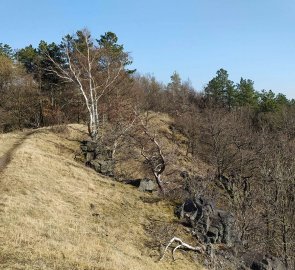 Trail to the top of Mount Úhošt'