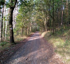 Cesta k osadě Skalka