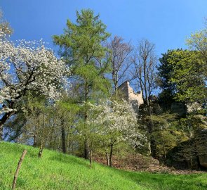 Spring in the Bohemian Paradise