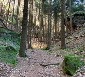 Journey through Hrázkovou gorge