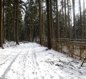 Nejvyšší bod na cestě - kousek pod Adamovým kopcem