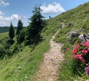 Trail back along the edge of the plateau