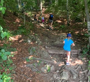 A steep ascent through the forest