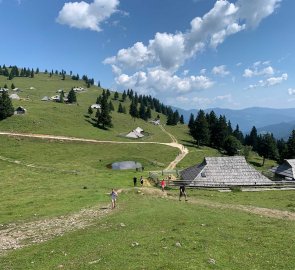 Gojška planina