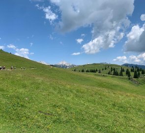 The path to Velika Planina