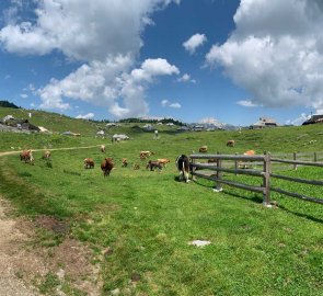 Shepherds at Velka Planina