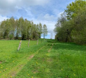 At the beginning the route led through meadows